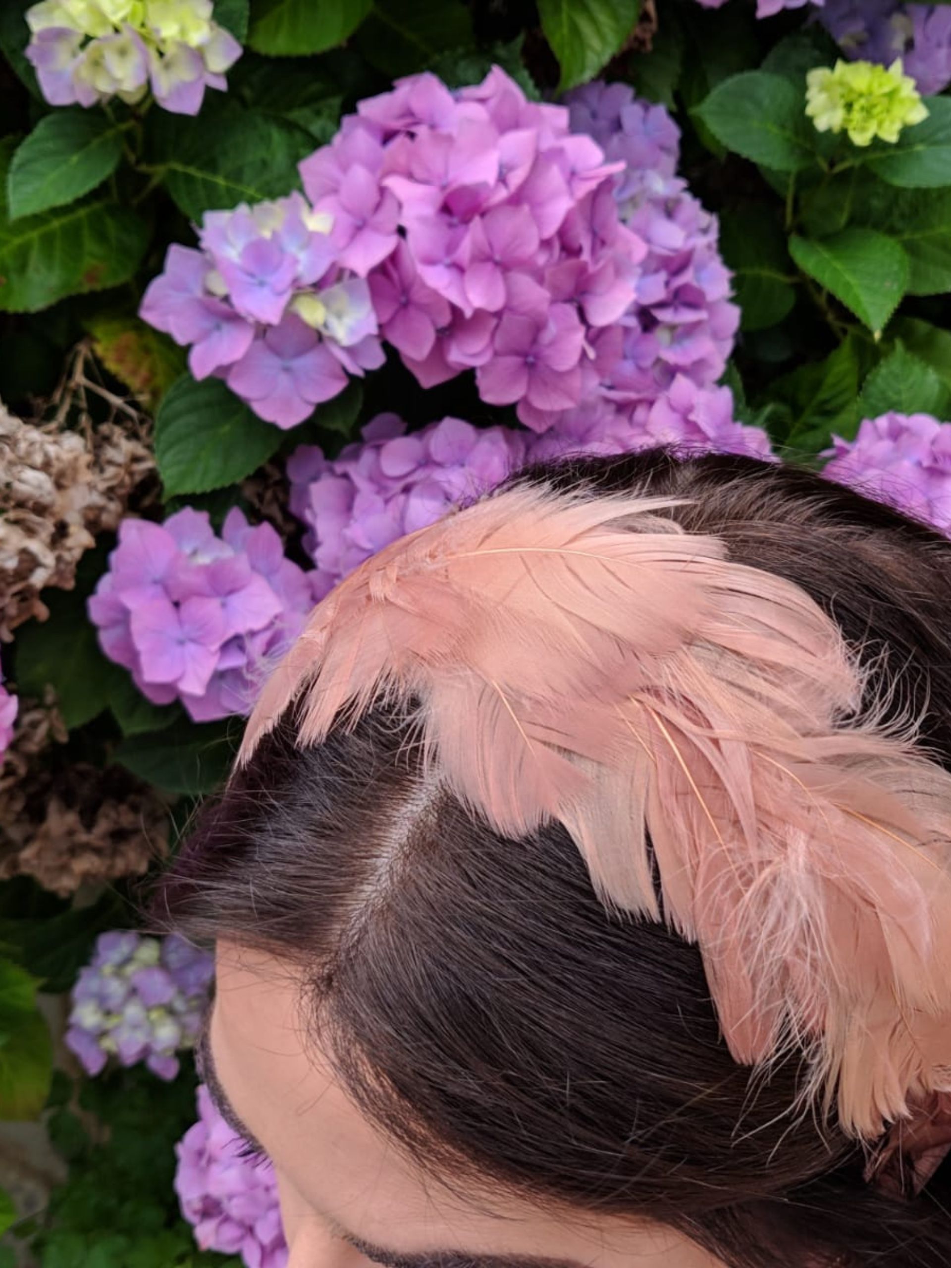 Diadema plumas